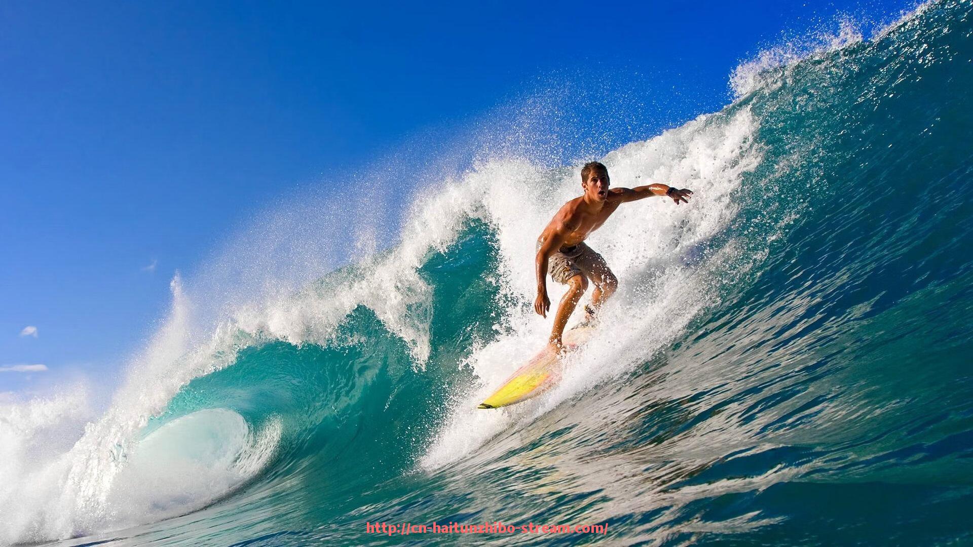 海豚直播-实拍世俱杯赛场风貌，感受主办地现场氛围与文化